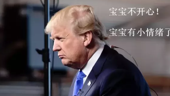 哈佛大学共和党表示不再支持川普